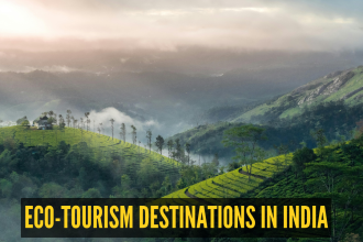 World Environment Day 2026: 5 eco-tourism destinations in India that are saving nature while welcoming travellers