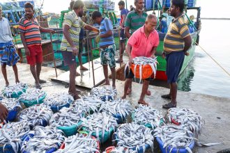 $1bn SEZs in the works to boost seafood exports