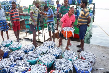 $1bn SEZs in the works to boost seafood exports