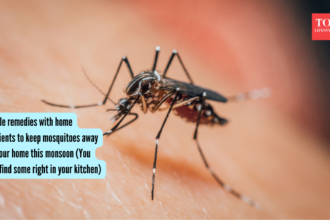 5 simple remedies with home ingredients to keep mosquitoes away from your home this monsoon (You might find some right in you