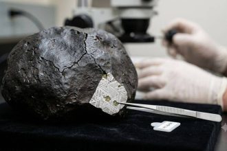 A 4.5-billion-year-old meteorite crashed into a New Jersey home, and scientists found clues about the origins of life
