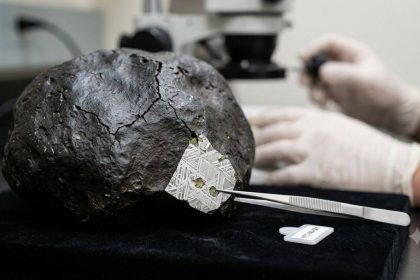 A 4.5-billion-year-old meteorite crashed into a New Jersey home, and scientists found clues about the origins of life