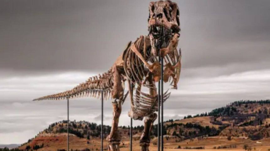 A 67-million-year-old T. rex discovered on a South Dakota ranch has sold for $50.1 million, becoming the most expensive dinos
