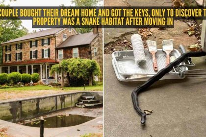 A couple bought their dream home and got the keys, only to discover the property was a snake habitat after moving in