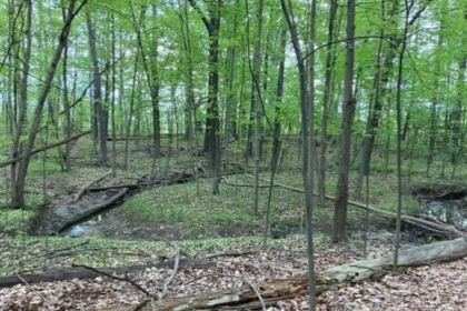 A Michigan woman owns 19 acres between two planned Toll Brothers communities
