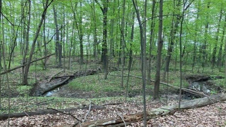 A Michigan woman owns 19 acres between two planned Toll Brothers communities