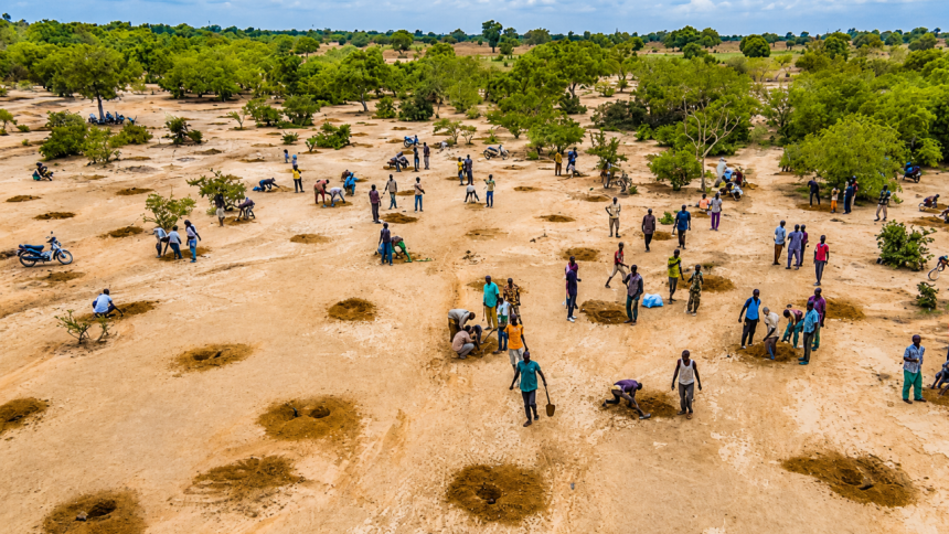 After decades of drought, water is returning to the south of the Sahara Desert as ancient farming techniques and the Great Gr