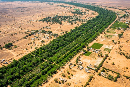 After the Great Wall of China, Africa is building an 8,000-km 'Wall of Trees' to fight climate change, restore land and feed