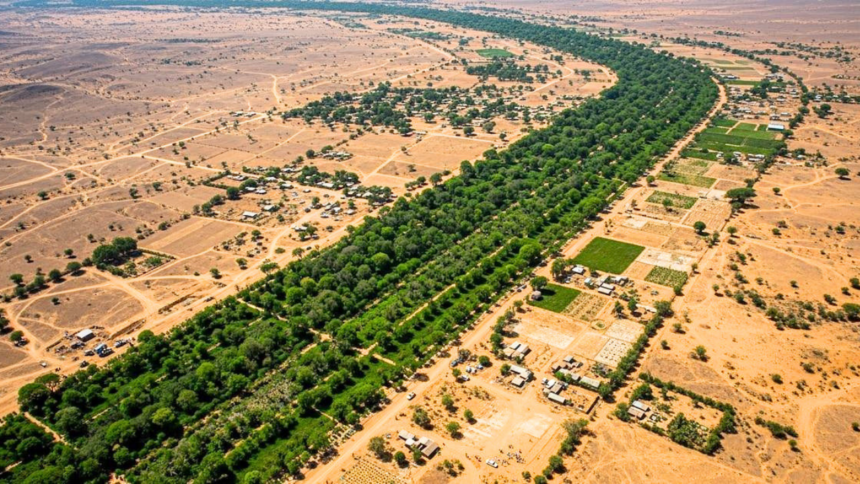 After the Great Wall of China, Africa is building an 8,000-km 'Wall of Trees' to fight climate change, restore land and feed