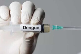 Ahead of dengue vaccine rollout, all 4 strains found in circulation