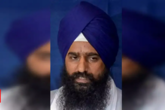 Akal Takht officiating Jathedar says Sikh weapons symbolise protection, urges community to uphold Guru's Code