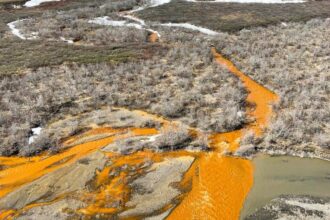 Alaska's crystal-clear rivers are turning vivid orange: Metal pollution is creating 'rusting' waterways, threatening wildlife