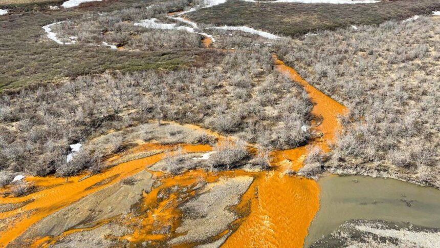 Alaska's crystal-clear rivers are turning vivid orange: Metal pollution is creating 'rusting' waterways, threatening wildlife