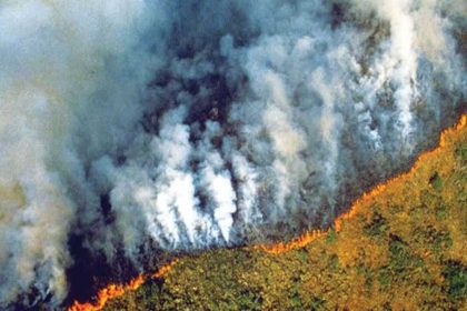 Amazon fires peaked during the 2024 drought. A year later, burned area hit its lowest level since records began in 1985