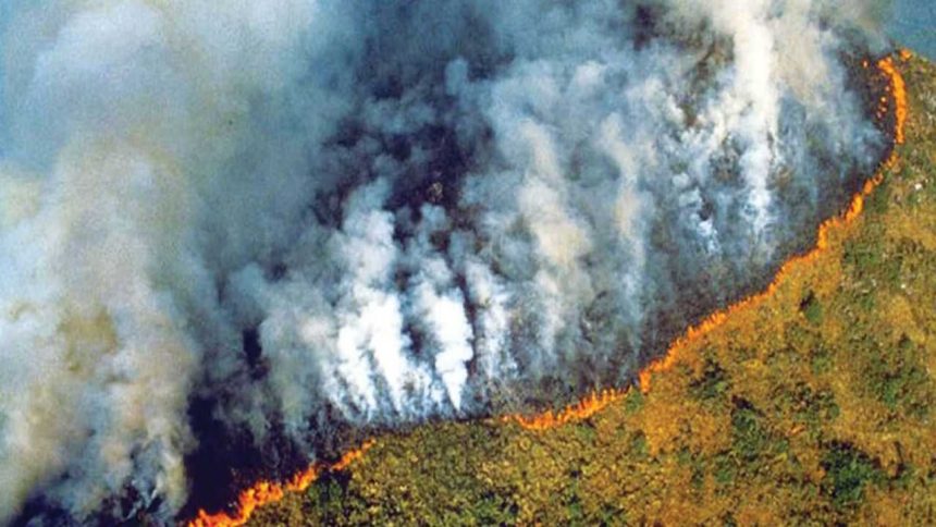 Amazon fires peaked during the 2024 drought. A year later, burned area hit its lowest level since records began in 1985