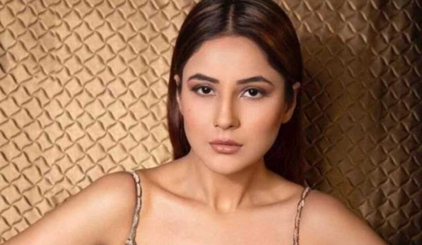 Amid dating rumors with Raghav Juyal, Shehnaaz Gill says love doesn't need a perfect ending