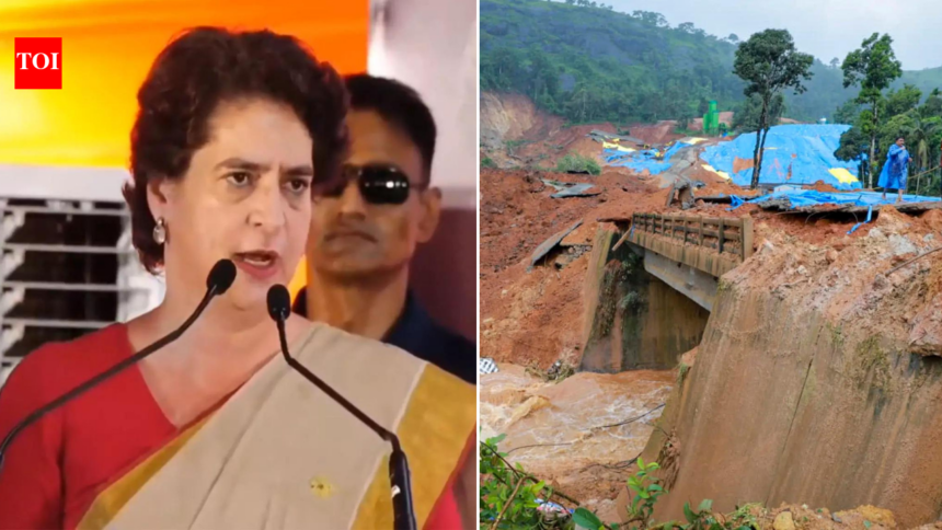 'Appeal UDF to provide support': Wayanad MP Priyanka Gandhi says rescue operations in full swing amid landslide