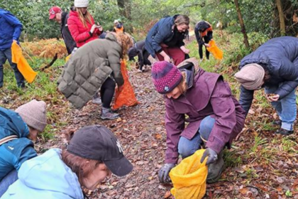 Around 100 volunteers collected 11 million seeds by hand across Scotland; nearly 8 million native trees are now being grown t