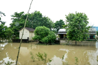 Assam floods worsen, nearly 50,000 affected across four districts