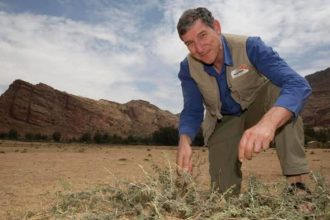 Australian agronomist Tony Rinaudo's FMNR revives Niger's dry landscapes with 200 million trees