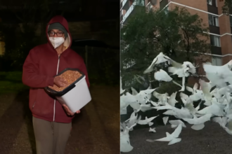 Australia's mysterious 'Birdman' has spent two years feeding birds in the middle of the night, leaving the neighbourhood plag