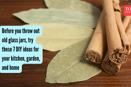 Bay leaves, cinnamon, and cloves: DIY organic room freshener you can make with 3 ingredients found in every Indian kitchen
