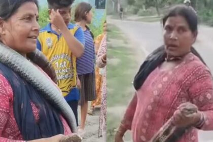 Bihar: 'Snake lady' rescues 10-foot king cobra from home; villagers left stunned