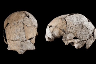 Buried for 5,300 years beneath a Stone Age tomb, a skull discovered in Spain has revealed the world's earliest known ear surg