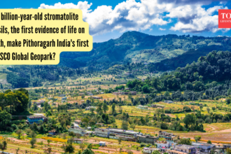 Can billion-year-old stromatolite fossils, the first evidence of life on Earth, make Pithoragarh India's first UNESCO Global