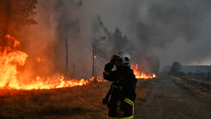 Canada’s 2023 wildfires burned 15.1 million hectares and released 554 million tonnes of carbon