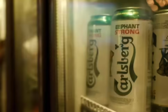 Carlsberg files IPO papers confidentially