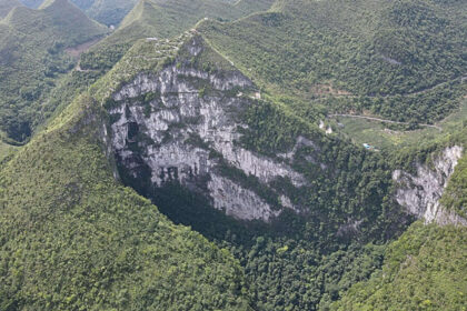 China’s giant sinkholes are protecting an endangered tree, but they may also be trapping its future