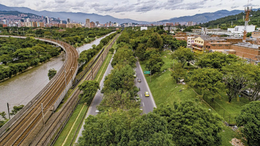 Colombia planted 880,000 trees across the streets of one city to tackle rising temperatures, and the plantation delivered loc