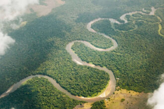Congo River releases 40,000 cubic metres of freshwater into the Atlantic every second. Scientists trace where it goes