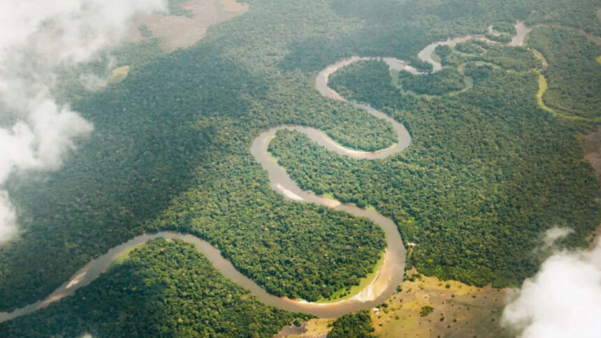 Congo River releases 40,000 cubic metres of freshwater into the Atlantic every second. Scientists trace where it goes