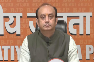 'Dangerous conspiracy' to vilify democracy: BJP