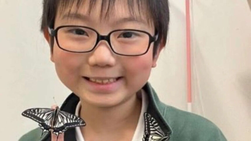 Did the butterflies remember him? Japanese student's discovery uncovers astonishing insect memory, publishes 33 page report