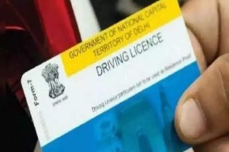 DL applications, RC updates among 100 transport services available online