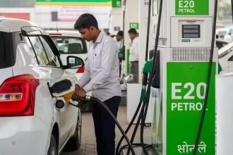 'E20 petrol may cut mileage by up to 5%, but doesn't damage engines': Govt tells Parliament
