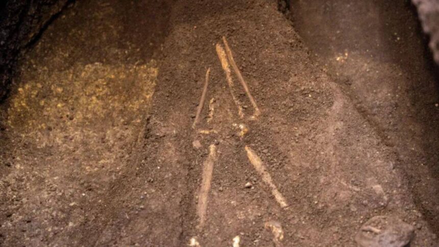 El Salvador archaeologists lifted a burial sealed beneath 2,800-year-old volcanic ash; the person lay face down with a sea tu