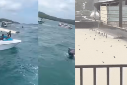 Evening news wrap: 15 Indian tourists killed in Vietnam boat accident, twin typhoons batter China & more