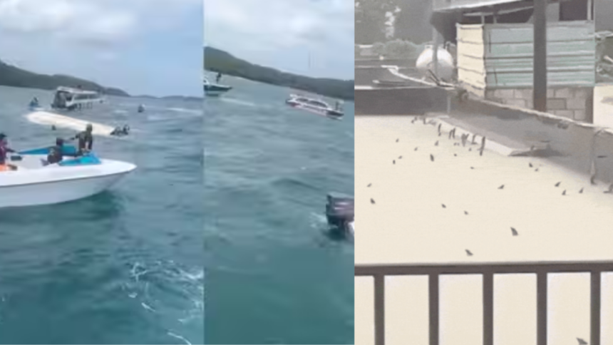 Evening news wrap: 15 Indian tourists killed in Vietnam boat accident, twin typhoons batter China & more