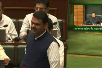 Fadnavis ups attack on 'Missing Link' critics, dubs them 'bhatka gardabh', 'suparibaaz'; taunts Raj Thackeray
