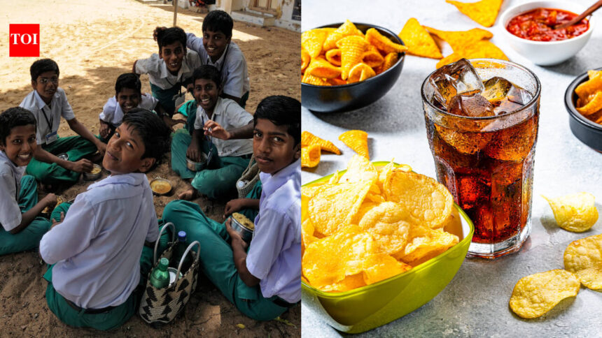 FDA asks Maharashtra schools to stop selling these foods loved by children: 10 healthy homemade school snack to carry