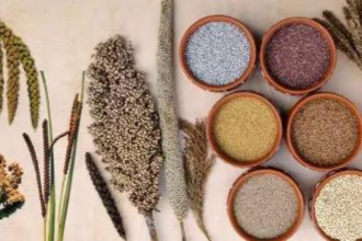 Food products create most jobs among PLI sectors