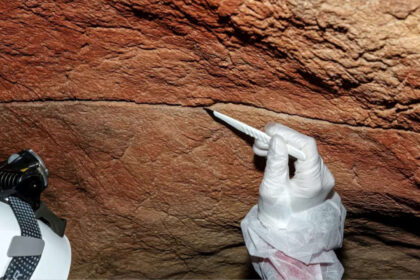 For the first time, scientists have recovered ancient DNA left behind on cave walls and rock art, opening a new way to study