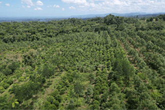 Greatest reforestation story: Costa Rica lost half its forests, then brought them back
