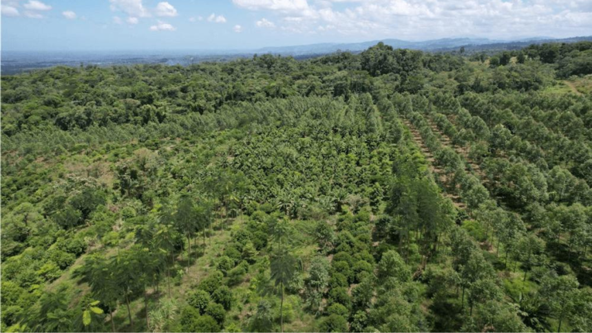 Greatest reforestation story: Costa Rica lost half its forests, then brought them back
