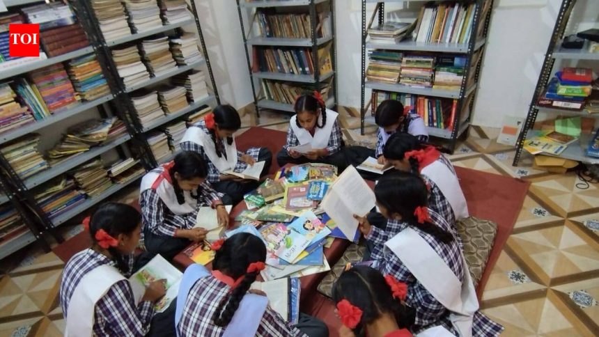 Himalaya’s 1st ‘library village’ and how it’s helping stem migration tide