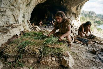 How ancient humans made their beds: 200,000-year-old grass reveals a prehistoric cleaning routine